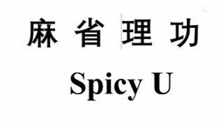 spicy u