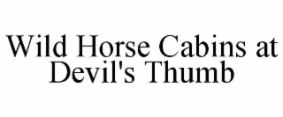 wild horse cabins at devil's thumb