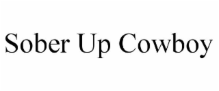 sober up cowboy