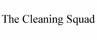 the cleaning squad