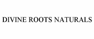 divine roots naturals
