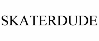 skaterdude