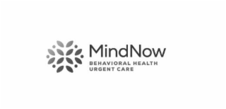 mindnow behavioral health urgent care