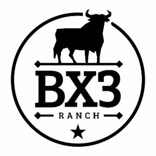 bx3 ranch