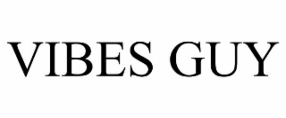vibes guy