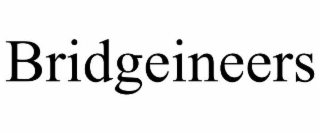 bridgeineers