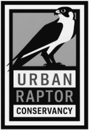urban raptor conservancy