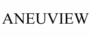 aneuview