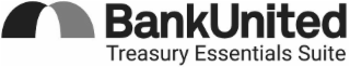 bankunited treasury essentials suite