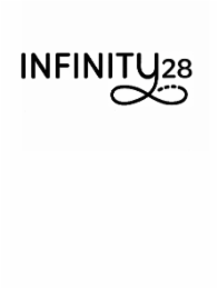 infinity 28