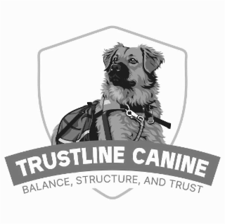 trustline caninebalance, structure, and trust