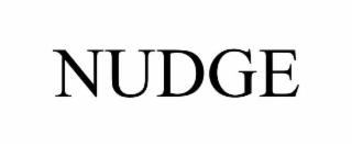 nudge