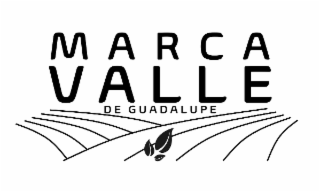 marca valle de guadalupe
