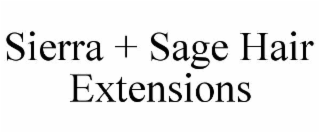 sierra + sage hair extensions
