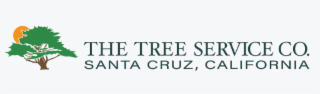 the tree service co. santa cruz, california