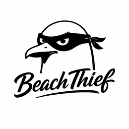 beach thief