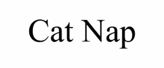 cat nap
