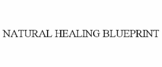 natural healing blueprint
