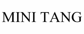 mini tang