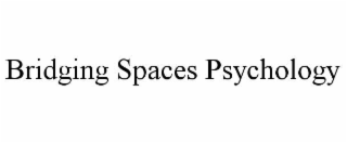 bridging spaces psychology