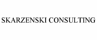 skarzenski consulting