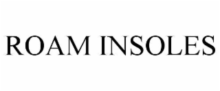 roam insoles