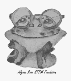 alyssa rose stem foundation