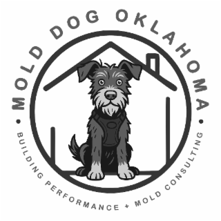 mold dog oklahoma building oklahoma mold performance dog mold consulting