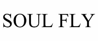 soul fly