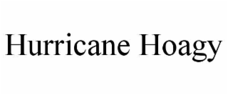 hurricane hoagy