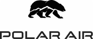 polar air
