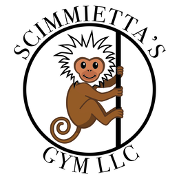scimmietta's gym llc
