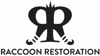 raccoon restoration