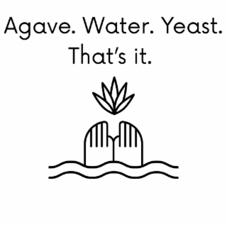 agave. water. yeast. that's it.