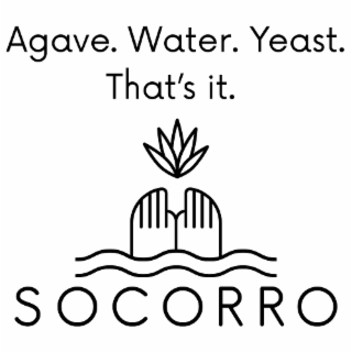 socorro agave. water. yeast. that's it.