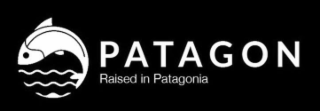 patagon raised in patagonia