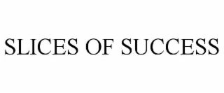 slices of success