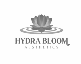 hydra bloom aesthetics