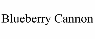 blueberry cannon