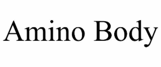 amino body