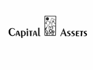 capital assets