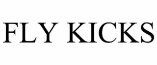 fly kicks