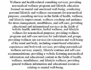 wellness and health-related consulting services; providing non-medical wellness programs and lifestyle education focused on mental and emotional well-being; conducting personal lifestyle and wellness assessments for non-medical purposes; consulting servic
