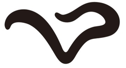 vp