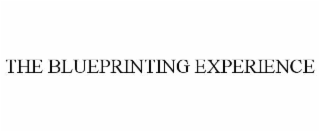 the blueprinting experience