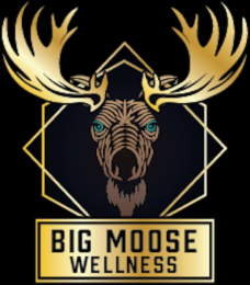 big moose wellness