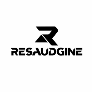 resaudgine