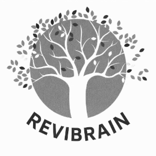 revibrain