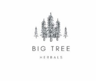 big tree herbals