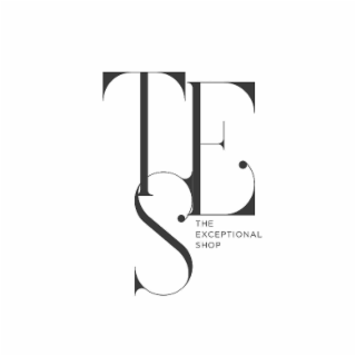 the exceptional shop
